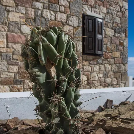 Villa Roccia Di Isidoro Agios Isidoros  Exterior foto